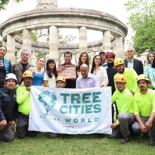 Reconocen a Guadalajara como Ciudad del Árbol del Mundo por quinto año consecutivo