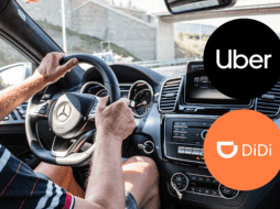 ESPECIAL/Imagen de Jan Macarol en Pixabay