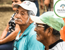 Estos programas están disponibles en los centros culturales del Inapam en la Ciudad de México. Pixabay