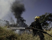 Protección Civil y Bomberos del municipio se ocuparon del incidente. EL INFORMADOR/Archivo