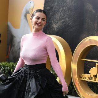 Selena Gómez revela que no puede tener hijos; buscará ser mamá de otra forma