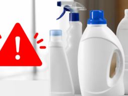 Comprender estos riesgos y tomar las precauciones adecuadas puede ayudarte a utilizar el cloro de manera segura y efectiva, protegiendo tu salud y la de quienes te rodean. 
 ESPECIAL/FREEPIK