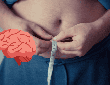 Tu cerebro es un aliado poderoso en la lucha contra la obesidad. Al entender cómo el cerebro regula el apetito y al aplicar estrategias para mejorar tu alimentación, puedes lograr un control más efectivo sobre tu peso y salud general. CANVA