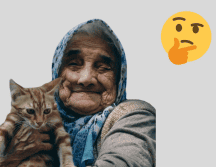 La lengua de los gatos es rasposa gracias a la forma de sus papilas gustativas. Pexels y CANVA