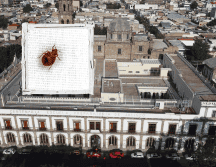 Las chinches pueden trasladarse fácilmente a través de artículos como ropa, equipaje, muebles, cajas y ropa de cama. ESPECIAL