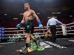 El proceso de aprendizaje de Canelo fue completamente autodidacta. AP/ ARCHIVO.