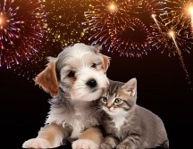 Evitar su uso no solo protege a quienes te rodean, sino que también promueve una celebración más consciente y segura para todos. ESPECIAL / FREEPIK