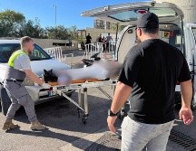 Autoridades llaman a todos los hospitales en las áreas afectadas a que activen el nivel de 