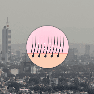 ¿Cuánto se debe lavar el cabello de una persona?