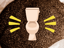 Los laxantes son sustancias que aflojan las heces o estimulan el movimiento intestinal. Seguro en algún momento te han echado una manita para tratar el estreñimiento. EL INFORMADOR / ARCHIVO