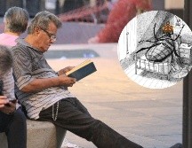 La Inteligencia Artificial ha elegido el mejor cuento en la historia de la literatura universal, te contamos cuál es. EL INFORMADOR / ARCHIVO