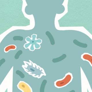Las 5 bacterias más peligrosas para los humanos y su prevención