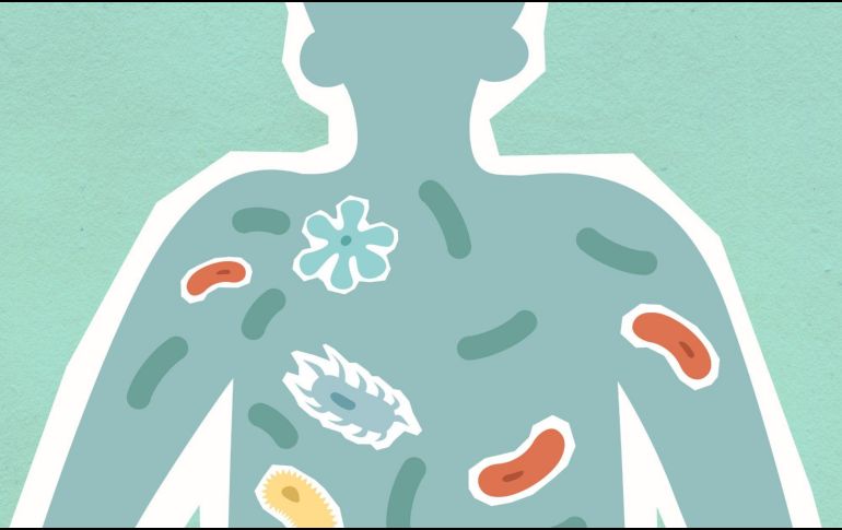 Es fundamental estar conscientes de las bacterias más peligrosas y tomar las precauciones necesarias para evitar su contagio, protegiendo así la salud de todos. CANVA