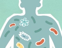 Es fundamental estar conscientes de las bacterias más peligrosas y tomar las precauciones necesarias para evitar su contagio, protegiendo así la salud de todos. CANVA