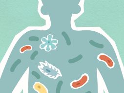 Es fundamental estar conscientes de las bacterias más peligrosas y tomar las precauciones necesarias para evitar su contagio, protegiendo así la salud de todos. CANVA