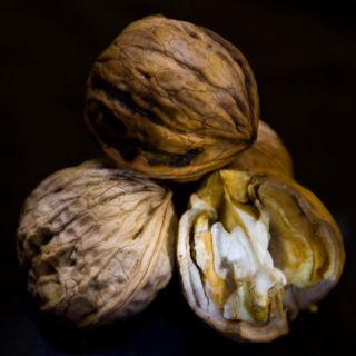 Así era la comida de la prehistoria, de acuerdo con la ciencia