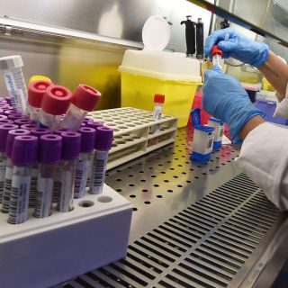 Estudio reciente vincula otra vez origen del COVID a un mercado de China