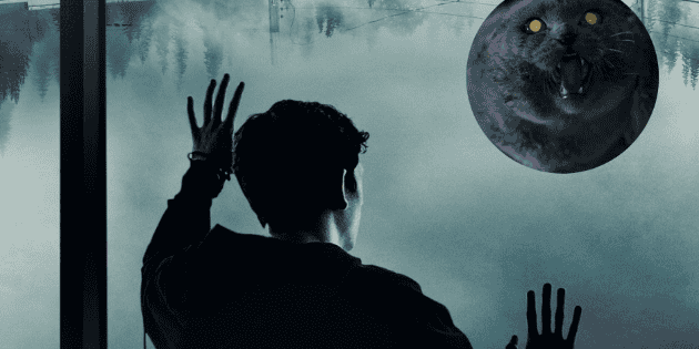 Películas basadas en libros de Stephen King que no te puedes perder ...