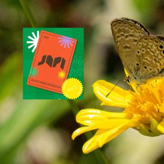 Disfruta de la naturaleza en el Vivero de JAPI; ubicación, costos y actividades