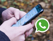 Se recomienda utilizar las distintas funciones de seguridad que tiene WhatsApp para proteger tu información. Pixabay