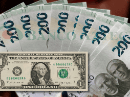 Este día, el dólar estadounidense mantiene un tipo de cambio de 19.35 pesos por unidad. EFE / ARCHIVO