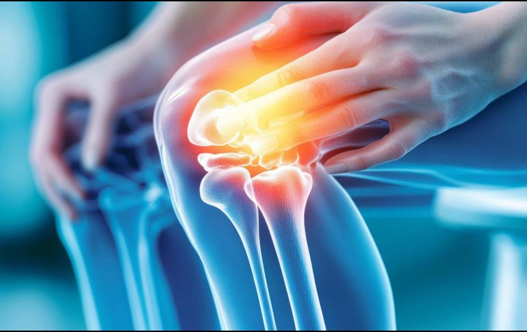 Incorporarla a la dieta es una forma efectiva de apoyar la salud general. ESPECIAL / PIXABAY