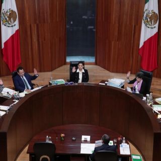 Campaña de voto útil fue legal, afirma TEPJF