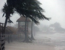 Más de 250 mil hogares y negocios en Florida se quedaron sin electricidad. EFE