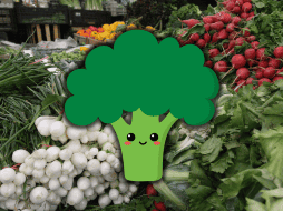 El consumo regular de verduras crucíferas está vinculado con un menor riesgo de insuficiencia renal en personas que tienen una variante genética específica (GSTM1). EL INFORMADOR / ARCHIVO