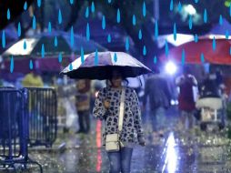 Simultáneamente, los remanentes de 