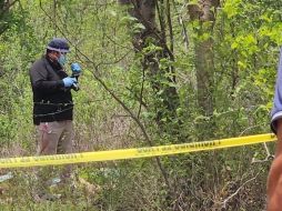 Se registraron cuatro nuevos asesinatos en diversos puntos. ESPECIAL