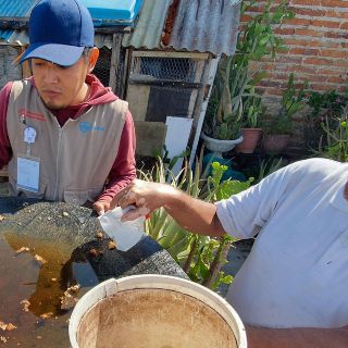 Prevén que casos de dengue bajen en noviembre