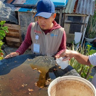 Conoce cuáles son las colonias de la ZMG con más casos de dengue