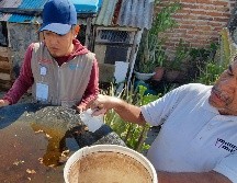 Con más de 13 mil 145 casos confirmados hasta la semana pasada, Jalisco se ubica en el primer lugar a nivel nacional. EL INFORMADOR / ARCHIVO