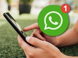 La compañía busca también disminuir la fragmentación del sistema y ofrecer una experiencia de usuario más uniforme. FREEPIK / WHATSAPP