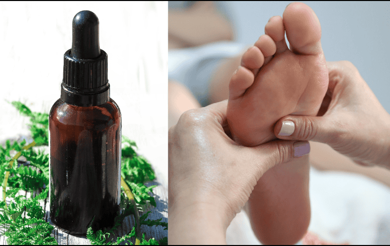 El aceite tiene varias versiones disponibles en el mercado, aunque también puede prepararse en casa. ESPECIAL/Imagen de Monika en Pixabay/Imagen de wangyanwei en Pixabay