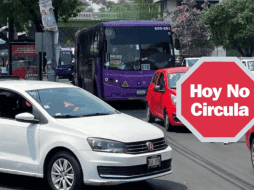 Toma nota de la siguiente información para que puedas tomar tus precauciones. ESPECIAL/ SUN/J. Williams.