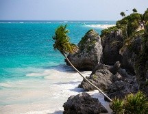 Estas son las mejores cinco, así como las razones de por qué son tan especiales. UNSPLASH / T. COTOAGA