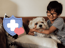 La biodecodificación para mascotas es una herramienta que puede ayudar a mejorar la calidad de vida de nuestros animales al abordar sus necesidades emocionales, lo que en muchos casos puede reflejarse positivamente en su salud física. CANVA