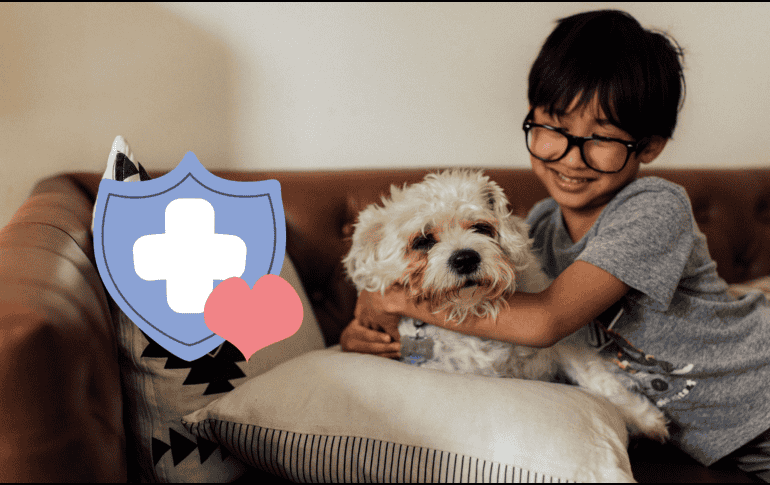 La biodecodificación para mascotas es una herramienta que puede ayudar a mejorar la calidad de vida de nuestros animales al abordar sus necesidades emocionales, lo que en muchos casos puede reflejarse positivamente en su salud física. CANVA