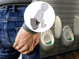 Aunque la mayoría de los hombres orinan de pie, los especialistas sugieren que la posición en la que deben soltar el líquido de su cuerpo debe ser adaptada a las necesidades de cada uno. ESPECIAL/Imagen de Darko Djurin en Pixabay/Imagen de Paul Houston en Pixabay/Imagen de Peggy und Marco Lachmann-Anke en Pixabay