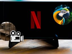 Netflix, ofrece una amplia variedad de documentales que exploran temas y perspectivas complejos. ESPECIAL / CANVA / PIXABAY