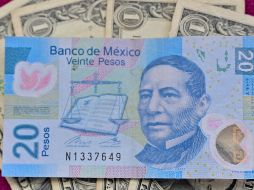 El dólar al menudeo terminó ayer viernes en 19.73 pesos a la venta en las ventanillas en las sucursales de CitiBanamex, 46 centavos por debajo del cierre de la semana pasada. AFP / ARCHIVO