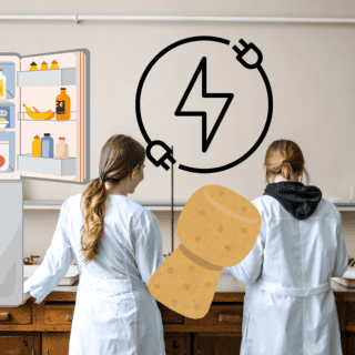 ¡Ahorra luz y dinero usando un corcho! Este es el truco revelado por Harvard