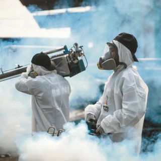 Mosco del dengue extiende su vida; llaman a prevenir