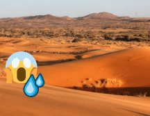 El Sahara es el desierto cálido más grande del mundo. Flickr