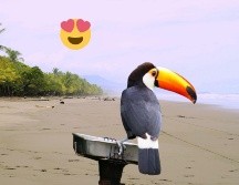 La belleza de un país es algo muy subjetivo y depende de lo que cada persona valore. ESPECIAL/Pexels