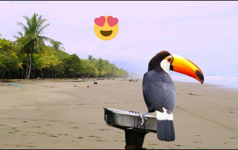 La belleza de un país es algo muy subjetivo y depende de lo que cada persona valore. ESPECIAL/Pexels