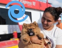 En la isla de Holbox, se ha llevado a cabo la evacuación de más de 500 turistas y residentes. ESPECIAL/X: @PlayaRiviera