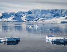 El reverdecimiento de la Antártida seguirá creciendo mientras siga la contaminación, ya que este lugar se seguirá calentando con el tiempo. Pixabay